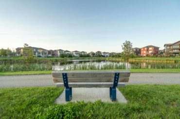 park-bench-houses-background