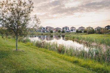 pond-profiling-houses-background