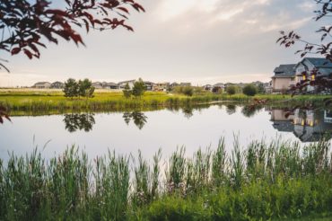 calm-pond-overcast-sky