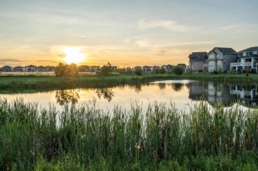 sunset-over-community-pond-tall-grass