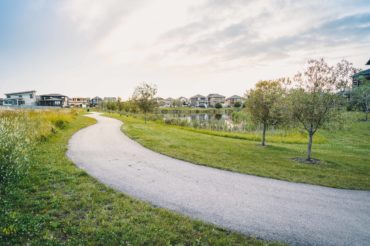park-walkway-trees